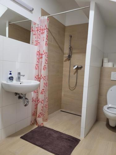 uma casa de banho com um chuveiro, um lavatório e um WC. em Apartmán Neva Galanta em Galanta