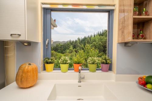 a kitchen window with potted plants and a sink at House Kochyli in Kefallonia