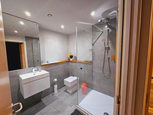 a bathroom with a shower and a toilet and a sink at Charming 1-Bed Apartment in Newark in Newark-on-Trent