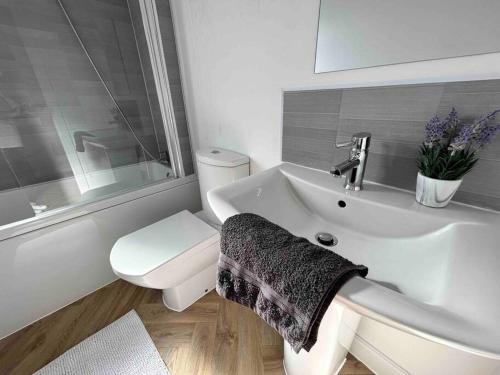 a bathroom with a white sink and a toilet at 74 Ashby House 3 bed townhouse in Brumby
