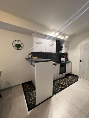 Kuchyň nebo kuchyňský kout v ubytování Apartmány Pískovna Assen