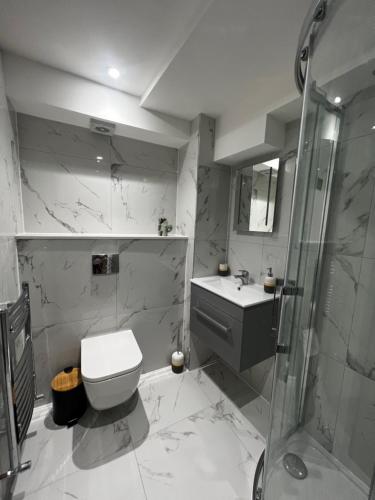 y baño con aseo, lavabo y ducha. en Flat in London en Londres