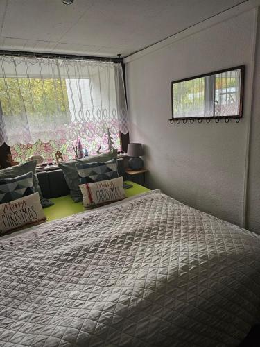 um quarto com uma cama com almofadas e uma janela em Gästewohnung Detmerode em Wolfsburg