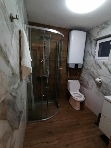 a bathroom with a shower and a toilet at Danube Escape with Jacuzzi, Pool & Spacious Yard by Destination GREEN Croatia in Bogaljevci