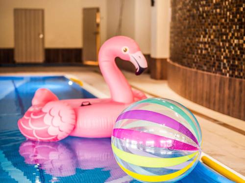 a pink toy flamingo and a ball in a pool at Dosłońce Resort Wellness & Farm in Racławice