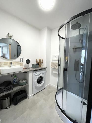 une salle de bain avec une machine à laver et un lavabo dans l'établissement Gîte D'à Côté, 5 mn du Zoo de Beauval, à Seigy