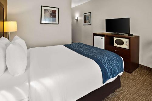 a hotel room with a bed and a tv at Comfort Inn Lacey - Olympia in Lacey