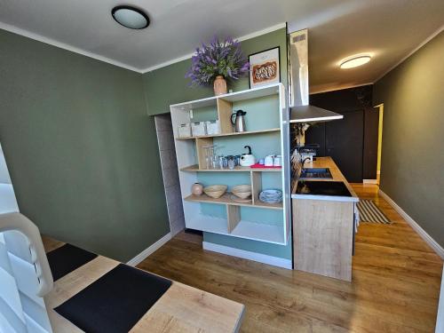 een keuken met groene muren en een aanrecht in een kamer bij CENTRAL APARTMAN 7 in Komárno