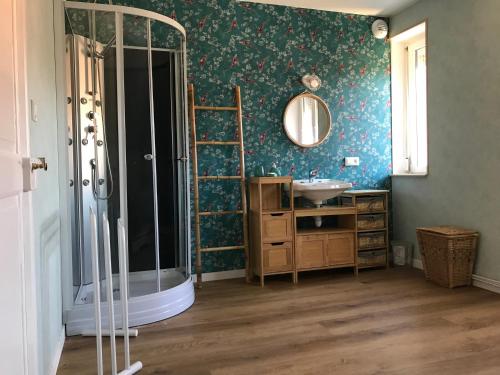 W łazience znajduje się prysznic, umywalka i lustro. w obiekcie Gîte Monts et Merveilles w mieście Mollau