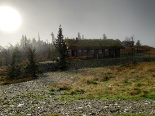 a house with a grass roof on top of a hill at Skeikampen Booking in Svingvoll