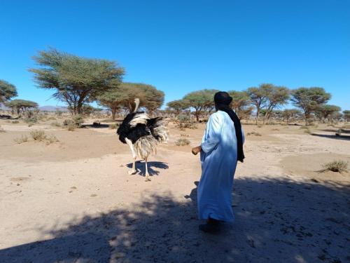 a man standing next to a camel in the desert at Auberge chez hammadi in Zagora