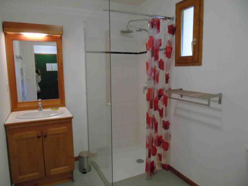 a bathroom with a shower and a sink at Appartement Valfréjus, 2 pièces, 4 personnes - FR-1-561-36 in Valfréjus