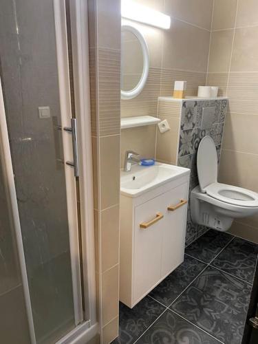 a bathroom with a toilet and a sink and a shower at Studio AIX LES BAINS in Aix-les-Bains