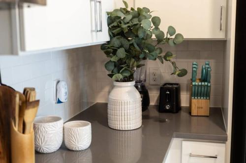 a kitchen counter with a white vase with a plant in it at Spacious Luxury Apartment in Galleria HTX in Houston