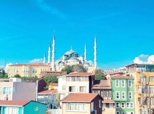 a view of a city with a mosque in the background at sahar sultan hotel in Istanbul