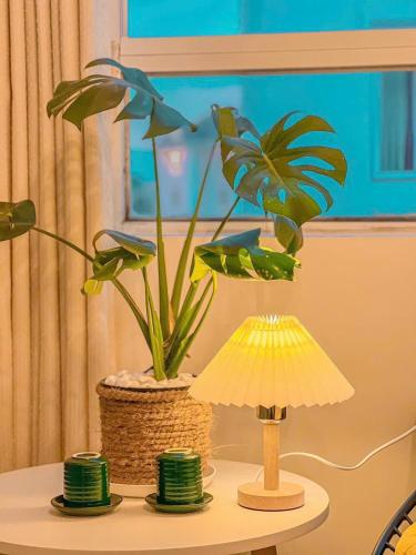 a table with a lamp and a plant on it at VŨ NHI HOTEL ĐÀ LẠT in Da Lat