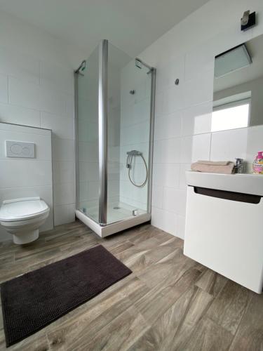 a bathroom with a shower and a toilet at W28 / Beethoven room in Piešťany