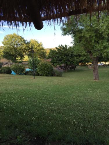 a grassy field with a tree in a park at Azienda Agrituristica I Tre Casali in Magione