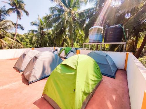 Foto sihtkohas Varkala asuva majutusasutuse Soul Hostels, Varkala - Black Beach galeriist