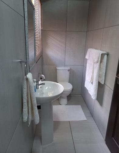 a white bathroom with a toilet and a sink at SnL Guesthouse at Visarend in Malelane
