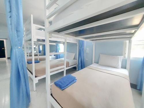 Khao Sok Backpacker Hostel في خاو سوك: غرفة نوم بسريرين بطابقين مع ستائر زرقاء