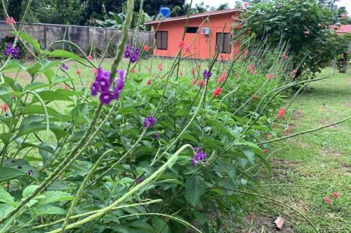 villa Lapa – Photos 5