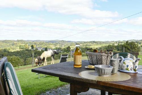 a picnic table with a bottle of beer and a horse in a field at La bourdenabo in Lasseubetat