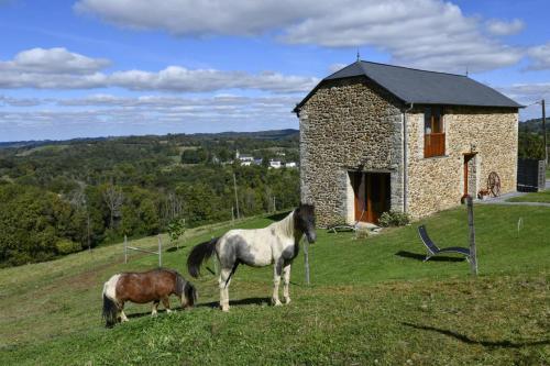 two horses standing on a hill next to a building at La bourdenabo in Lasseubetat
