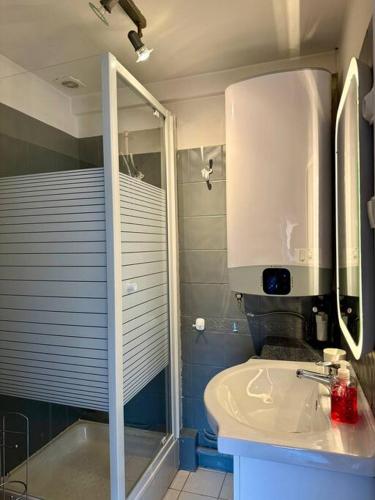 La salle de bains est pourvue d'une douche et d'un lavabo blanc. dans l'établissement Cœur Historique Studio de Charme, à Toulouse