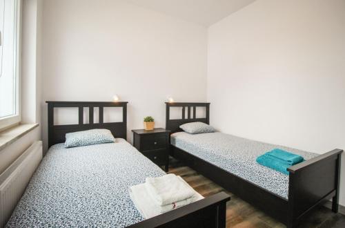 2 camas individuales en una habitación con ventana en Apartament Lublin Stare Miasto „Wild Cat II”, en Lublin