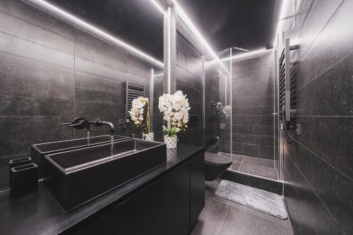 ヴィリニュスにあるVivulskio Apartament - Lollo Luxuryの黒のバスルーム(洗面台、トイレ付)
