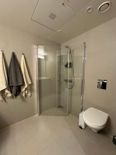 a bathroom with a shower and a toilet at Penthouse, Lerkendal, NTNU, free parking in Trondheim