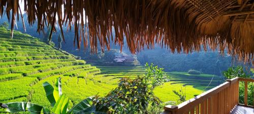 vistas a un campo de arroz y a un techo de paja en Ban Lien Pine Homestay en Ly Tzeu Ping