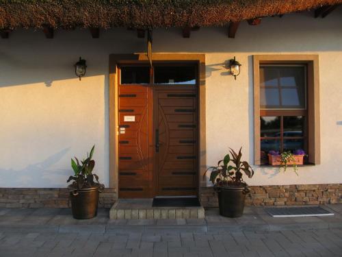 a door to a house with two potted plants at Penzión Eko Park Piešťany in Piešťany