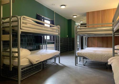 2 Etagenbetten in einem Zimmer mit grünen Wänden in der Unterkunft Durty Nelly's Inn in Amsterdam