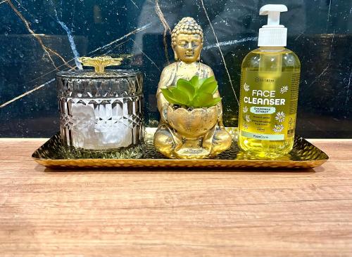 a bottle of face cleanser and a statue with a plant at Golden Luxury Suite in Nowy Dwór Mazowiecki