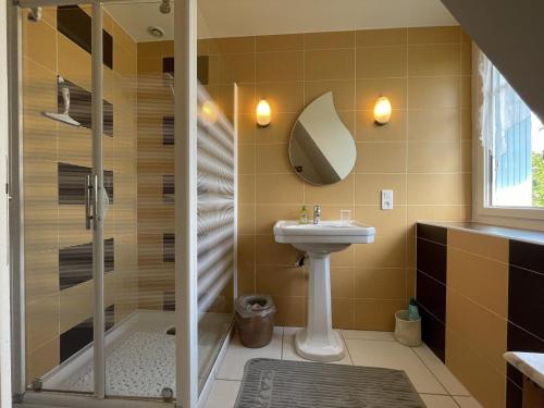 ein Bad mit einer Dusche, einem Waschbecken und einem WC in der Unterkunft Lassegues in Castetner