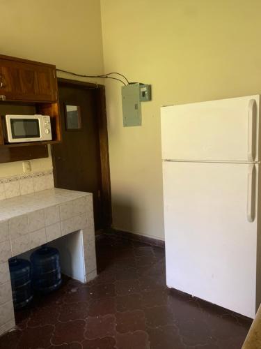 a kitchen with a white refrigerator and a microwave at Stella Hostel Copán in Copán Ruinas