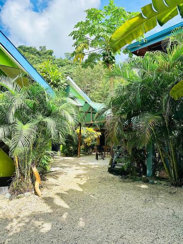 a resort yard with palm trees and a building at Surf Paradise in Santa Teresa Beach