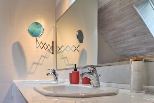 uma casa de banho com um lavatório e um espelho em Maison de Standing - Proche Zoo et centre ville - Parking privé - Le Haut Bois em Saint-Aignan