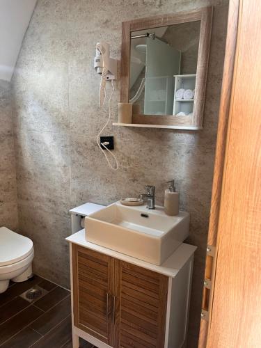 a bathroom with a sink and a mirror and a toilet at Villa standard n'Bjeshkë in Dragash