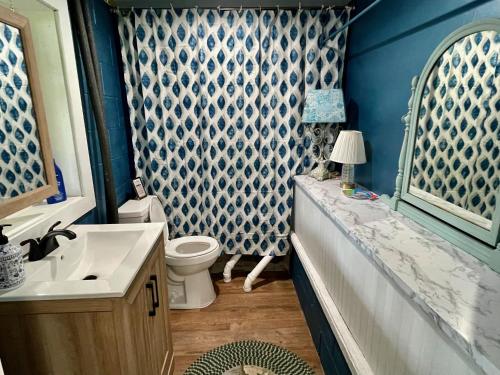 a bathroom with a sink and a toilet and a shower at Li'l Love Inn: Magical Sunsets, Quiet, Cozy, Waterfront in Cambridge Springs