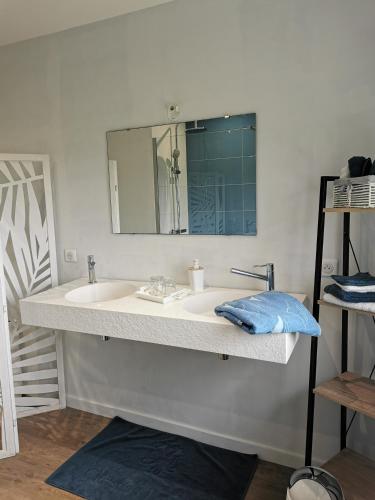 a bathroom with a sink and a mirror at Entre Mont St Michel et Merveille in Vains
