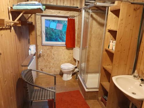 uma pequena casa de banho com WC e lavatório em Villa am plätschernden Bach em Eggern
