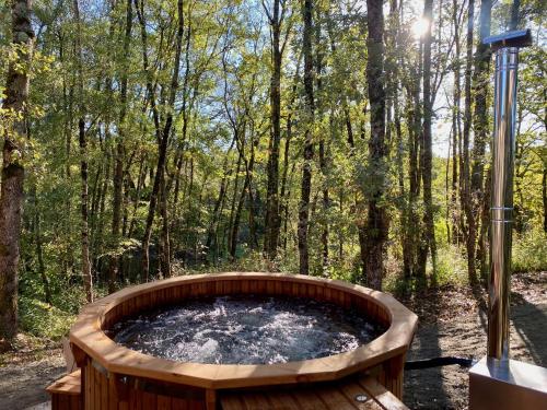 Dans les Arbres – Photos 5
