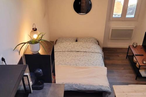 um quarto com uma cama e uma mesa com uma planta em Grand studio de charme au cœur de Montpellier et Wifi em Montpellier