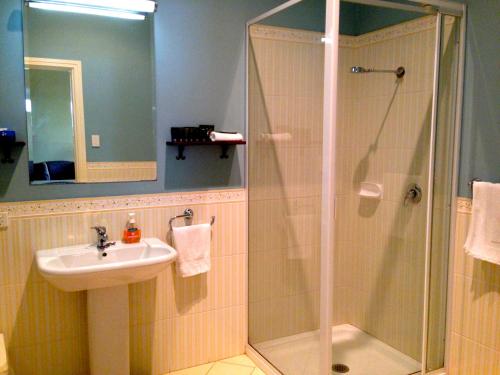 a bathroom with a shower and a sink at The York Palace Accommodation in York