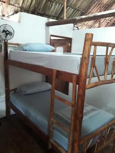 Litera o literas de una habitación en Backpackers Hostel