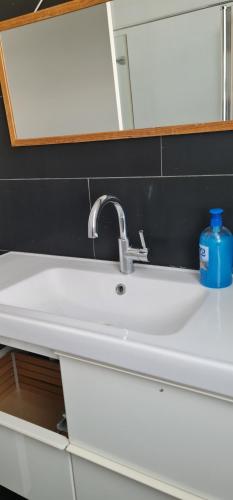 a bathroom sink with a blue soap bottle on it at Studio at the Kibbutz in Ashdot Ya‘aqov