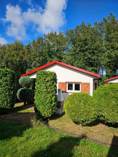 a house with hedges in front of it at OW Plaża Klub domki in Dziwnów